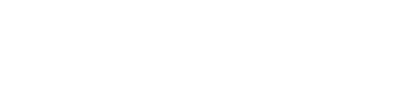 Laag 33
