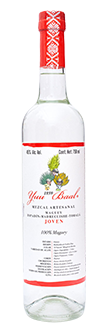 Espadín – Madre Cuishe – Tobalá