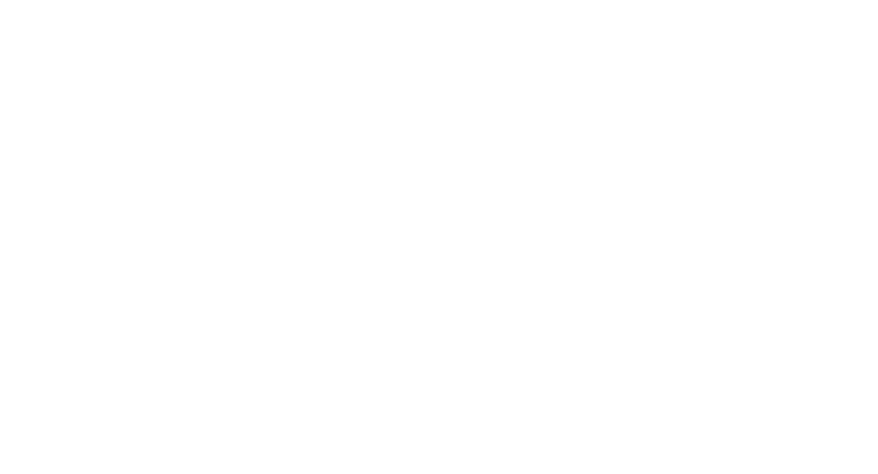 parati_wit